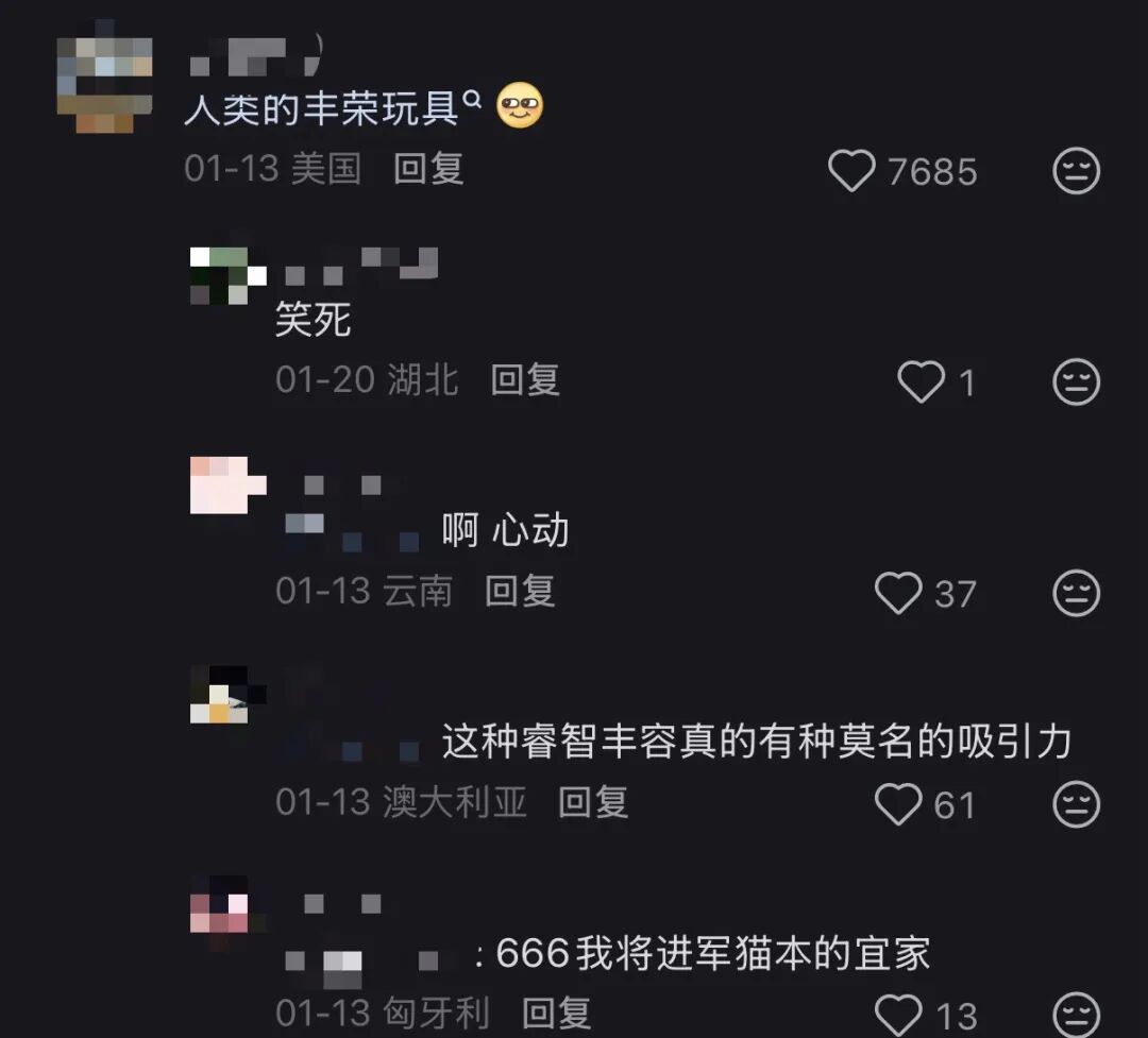 网友评价