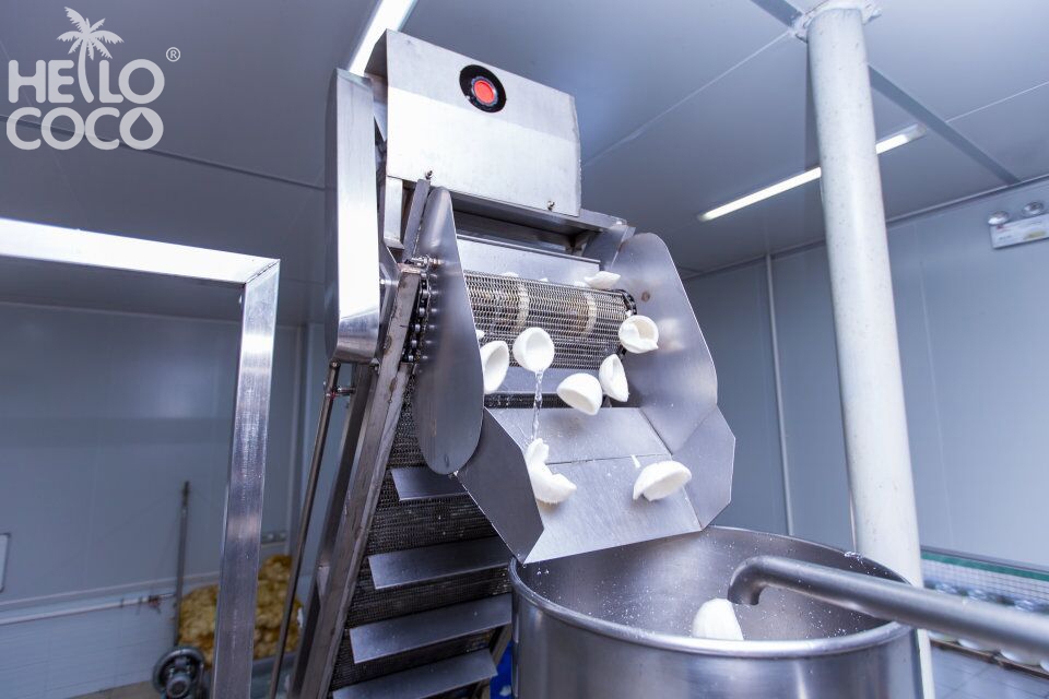hello coco你好椰 工厂榨汁车间
