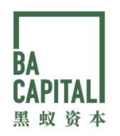 黑蚁资本