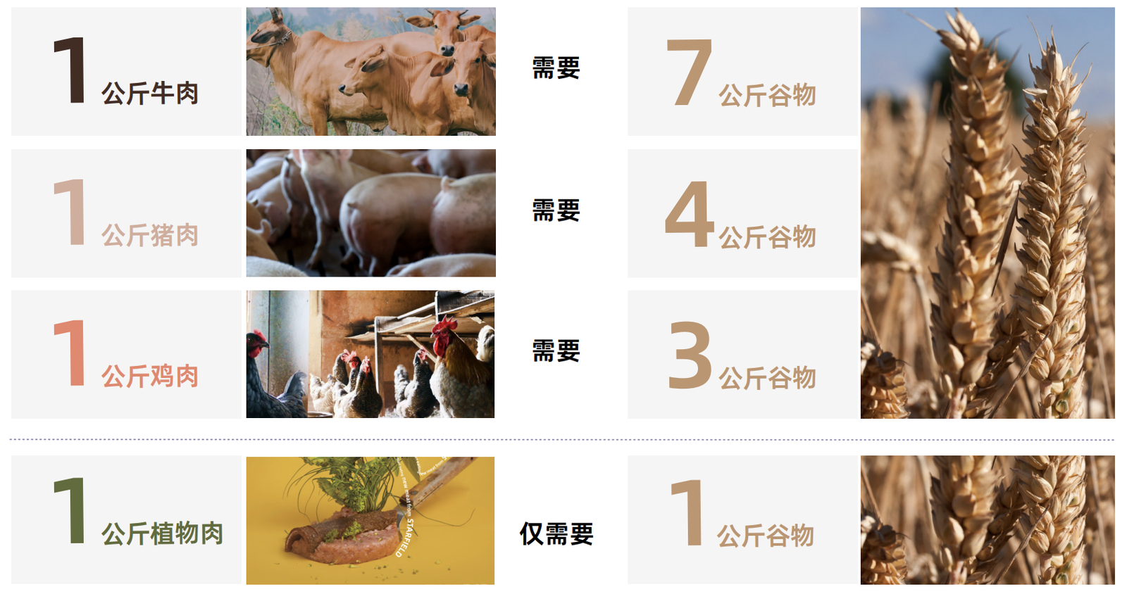 植物肉的生产可节约生产原料