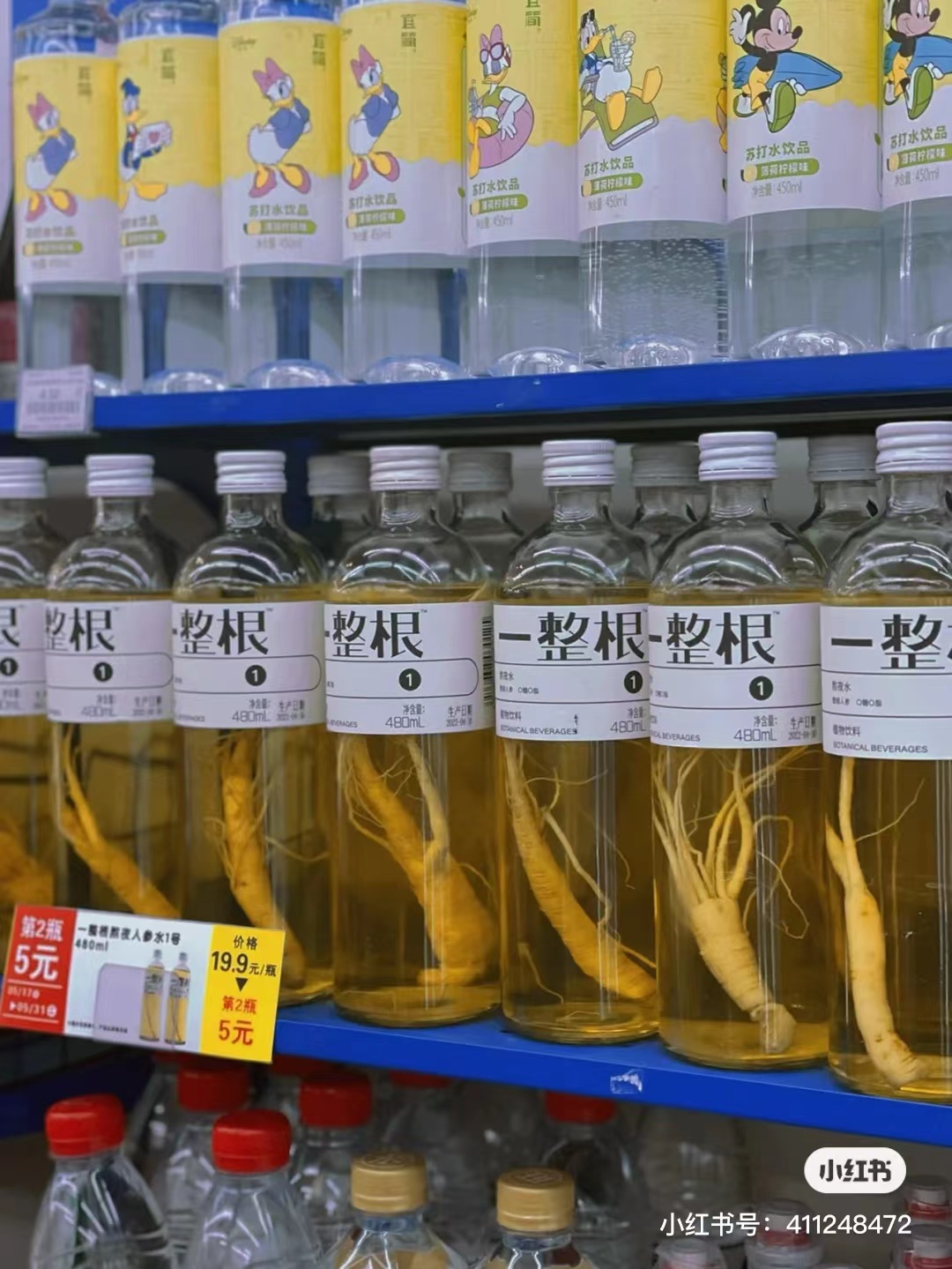 一整根熬夜人参水