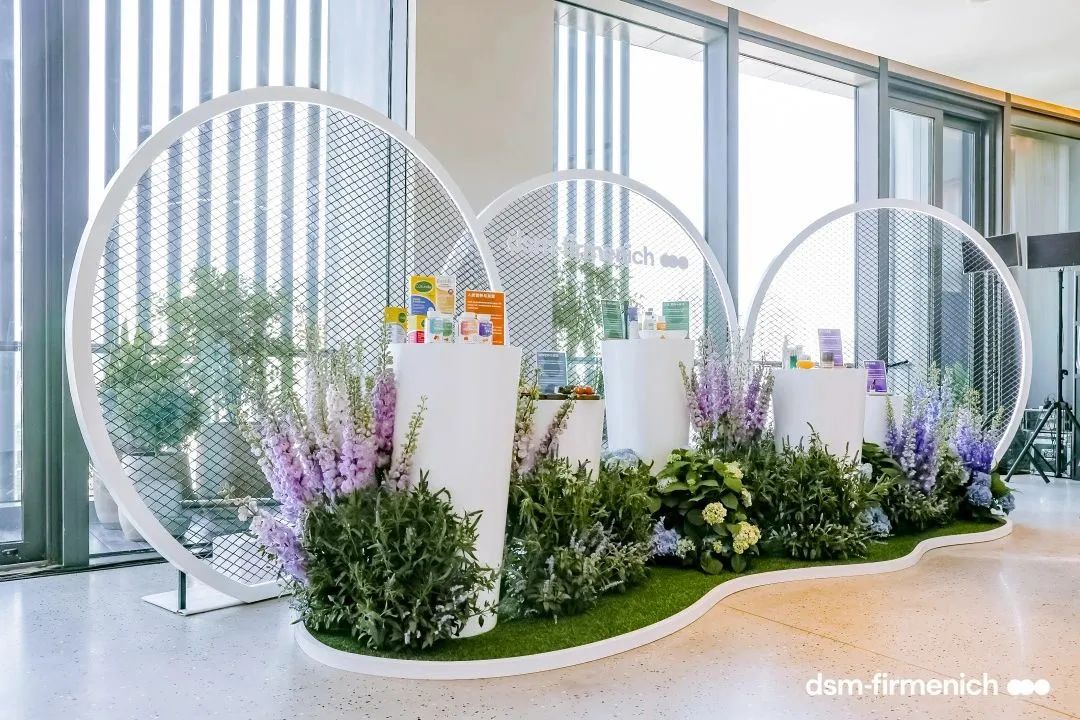 帝斯曼-芬美意四大高效互补的事业部