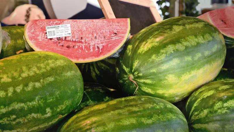 opticut™包装标签产品