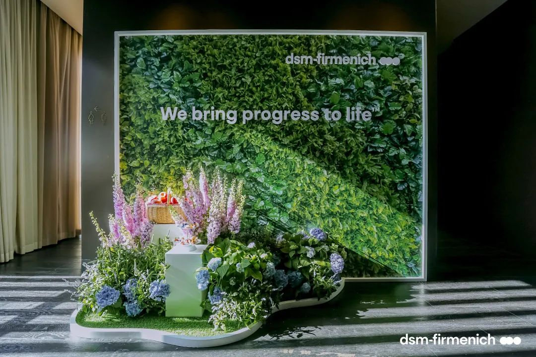 帝斯曼-芬美意成立发布会暨向美而行共益发展计划启动