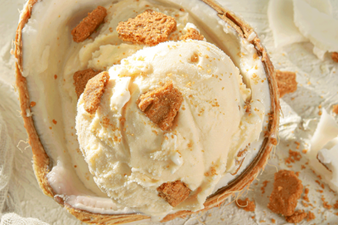 椰子-比利时焦糖饼干口味冰激凌