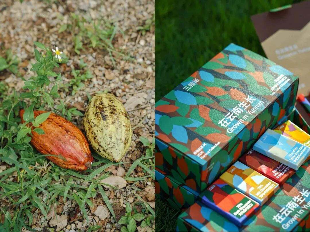 三顿半在云南西双版纳建立了可可农场，在此与农户一起学习和推广种植知识，包括育苗、堆肥，开发出了云南风味的巧克力