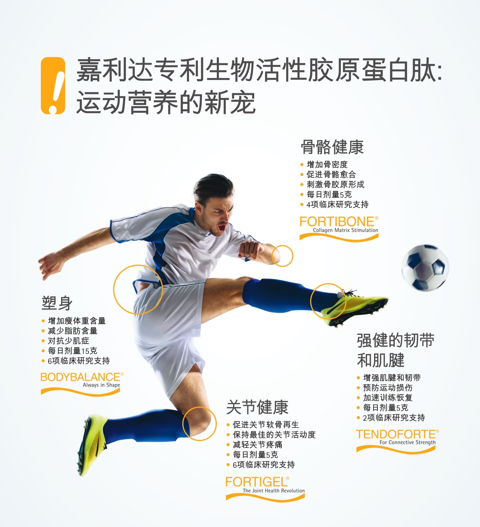 嘉利达功能细分的生物活性胶原蛋白肽产品