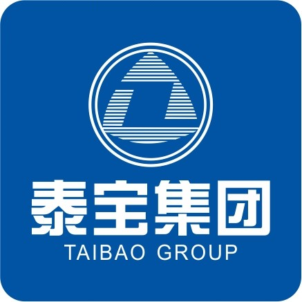 山东泰宝信息科技集团有限公司