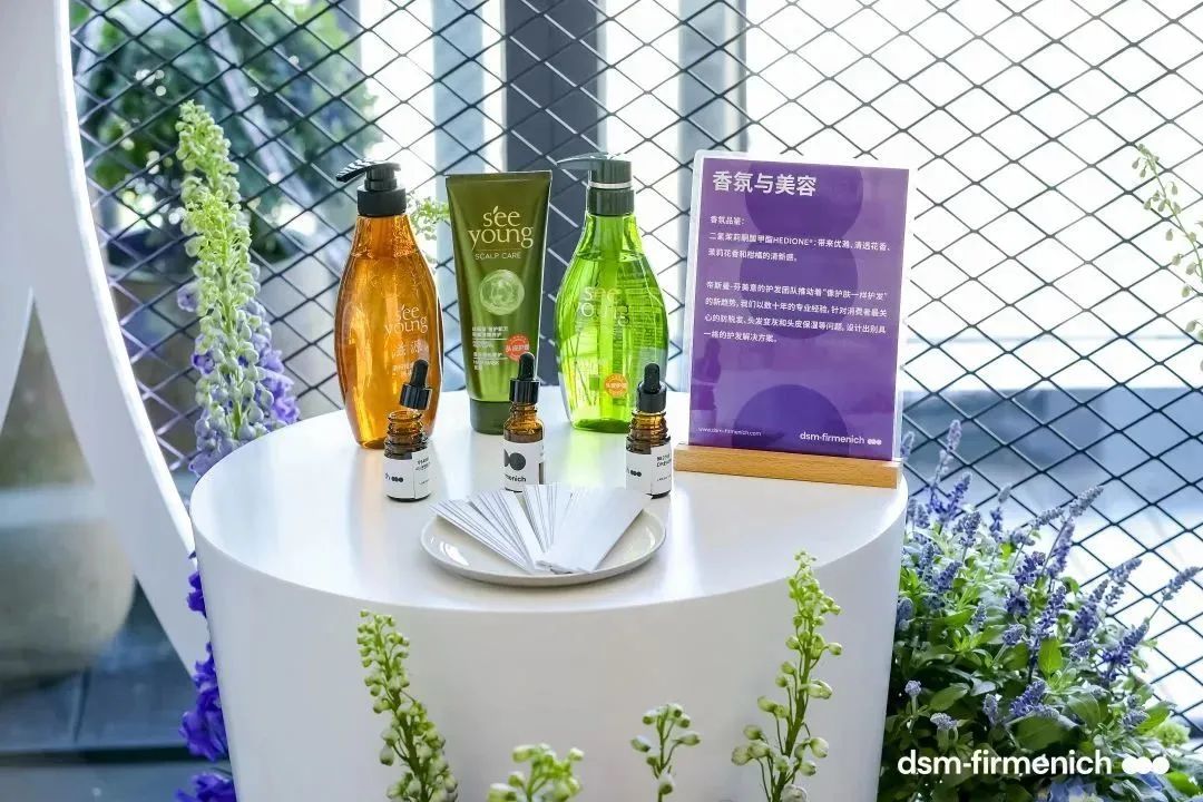 帝斯曼-芬美意四大高效互补的事业部