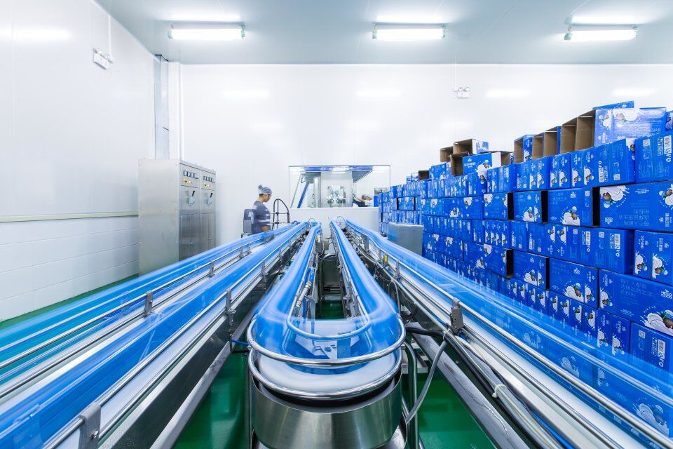 hello coco你好椰 工厂包装车间