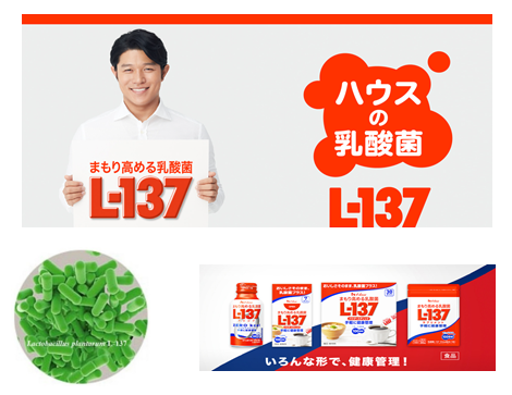 热灭型植物乳杆菌l-137