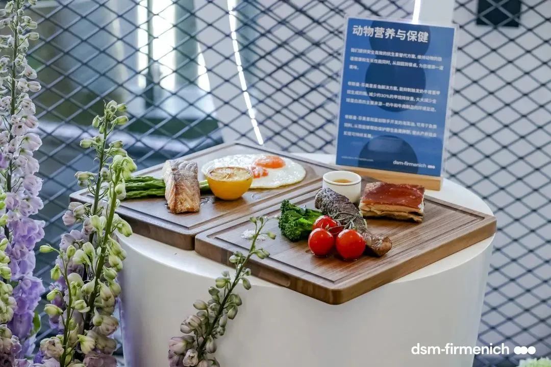 帝斯曼-芬美意四大高效互补的事业部