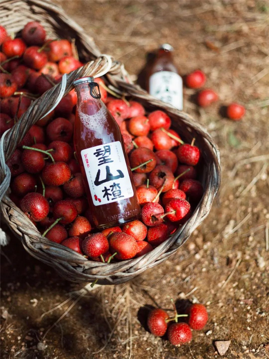 “望山楂”溯源计划