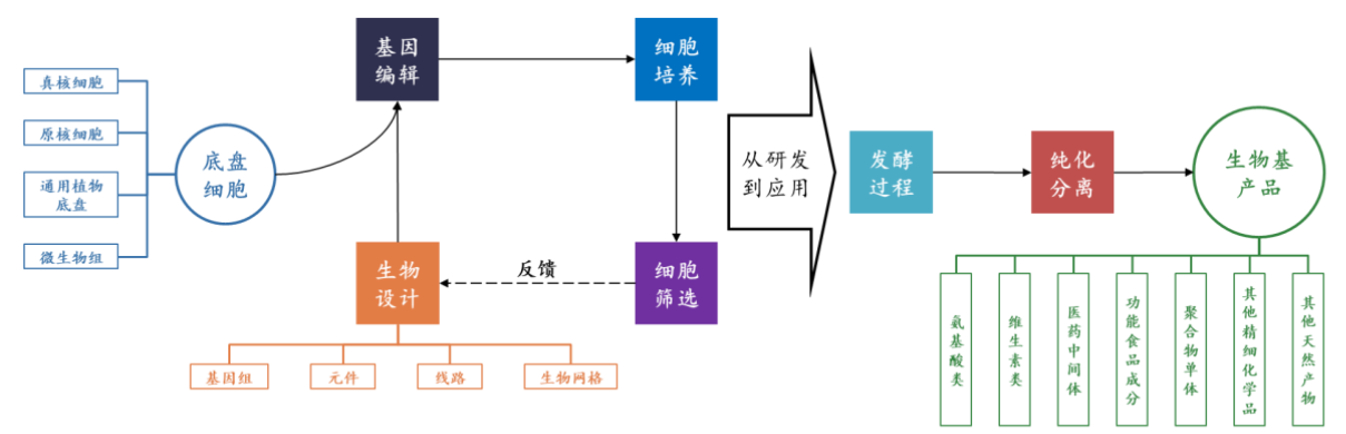 合成生物学示意图