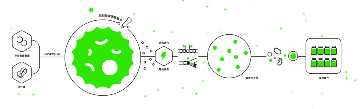 多物质量产的生物制造平台